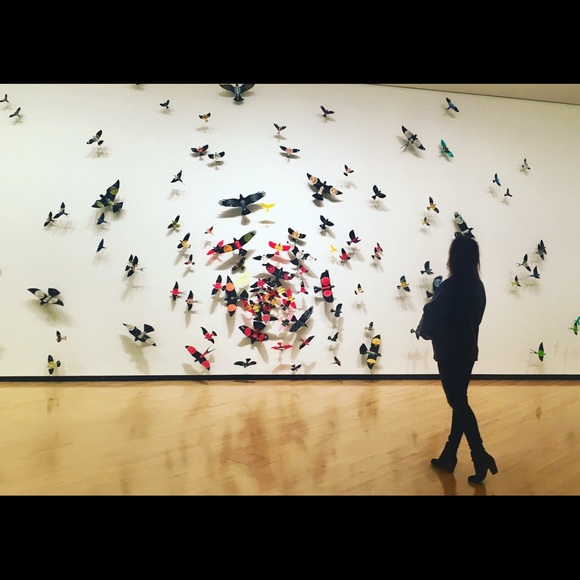 Meet Your Posher!🌻 - Picture 3 of 3